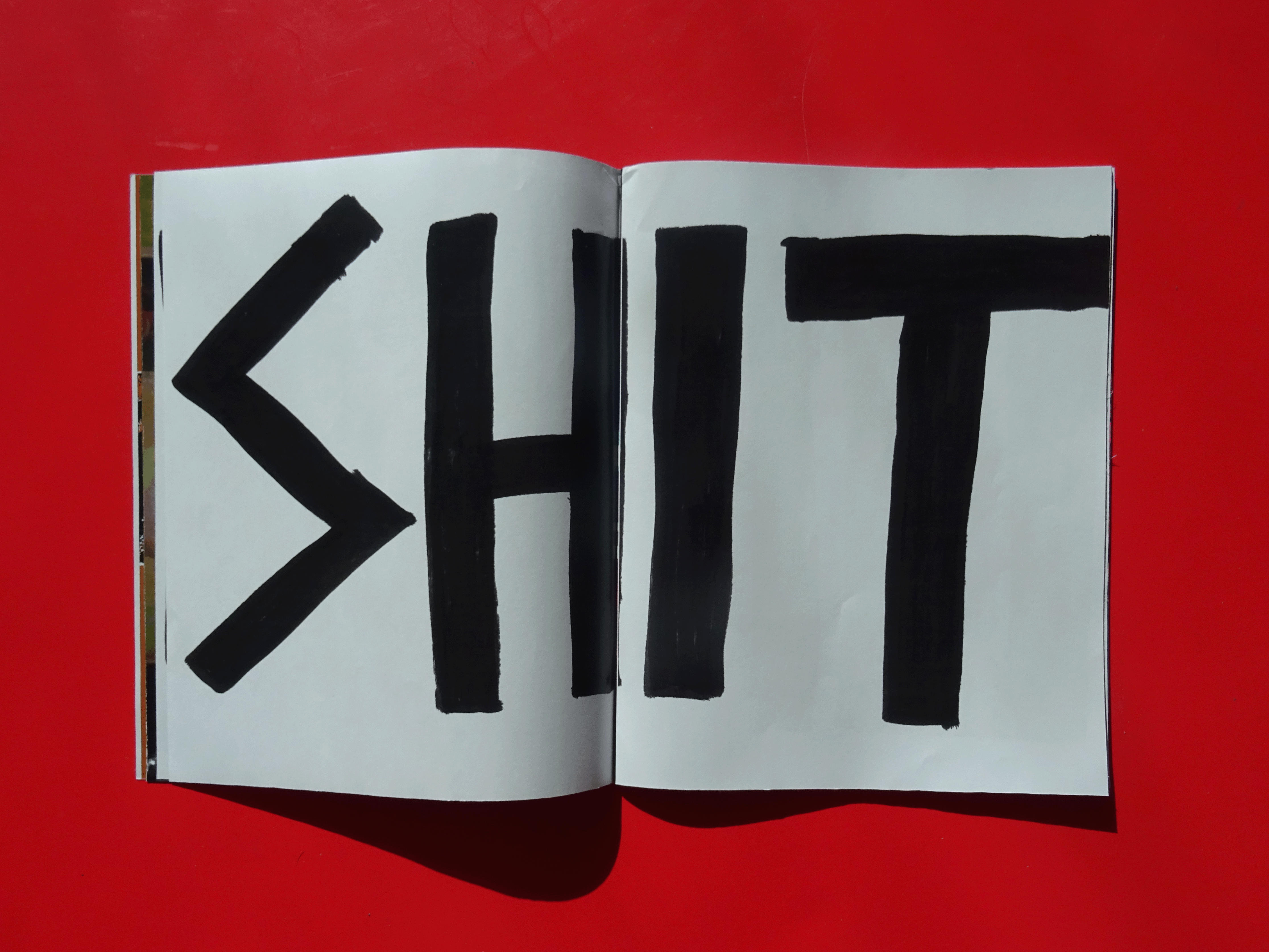shit