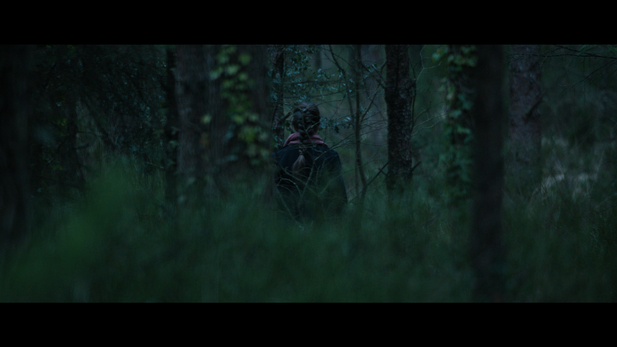 Fiadh in the forest
