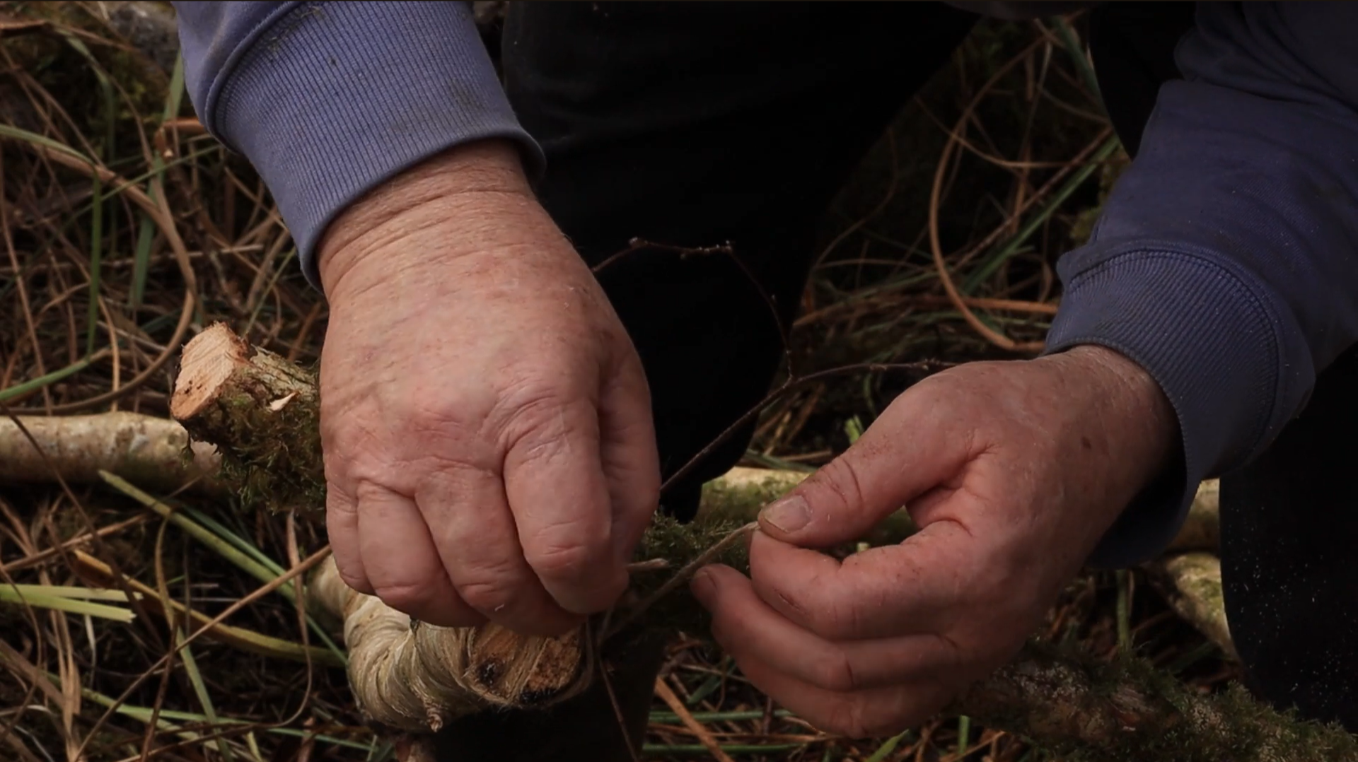 Stills from Shelter