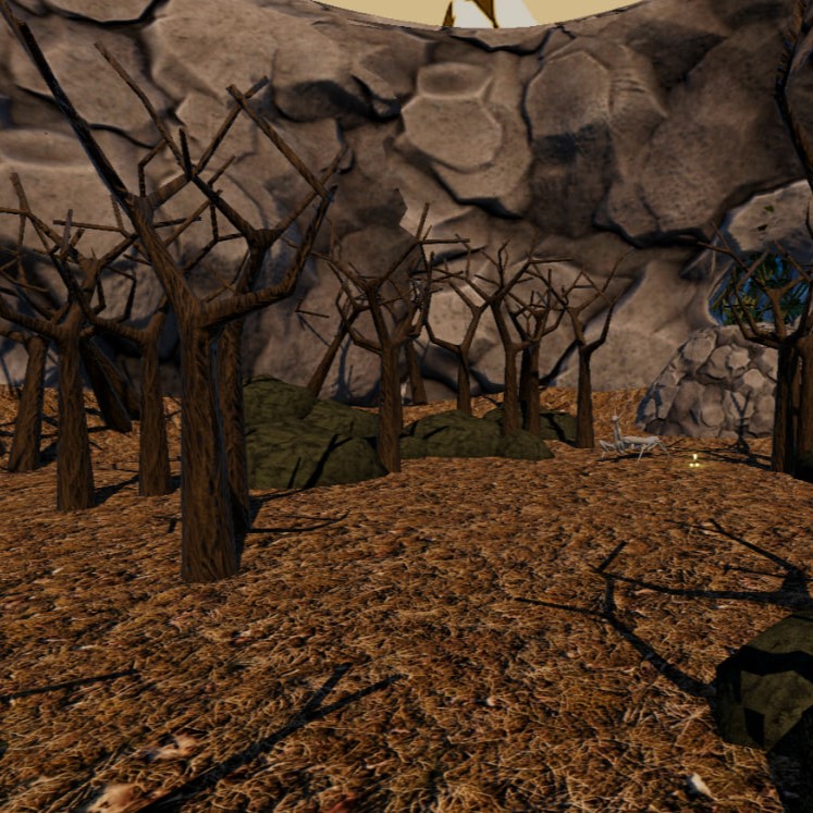 forest