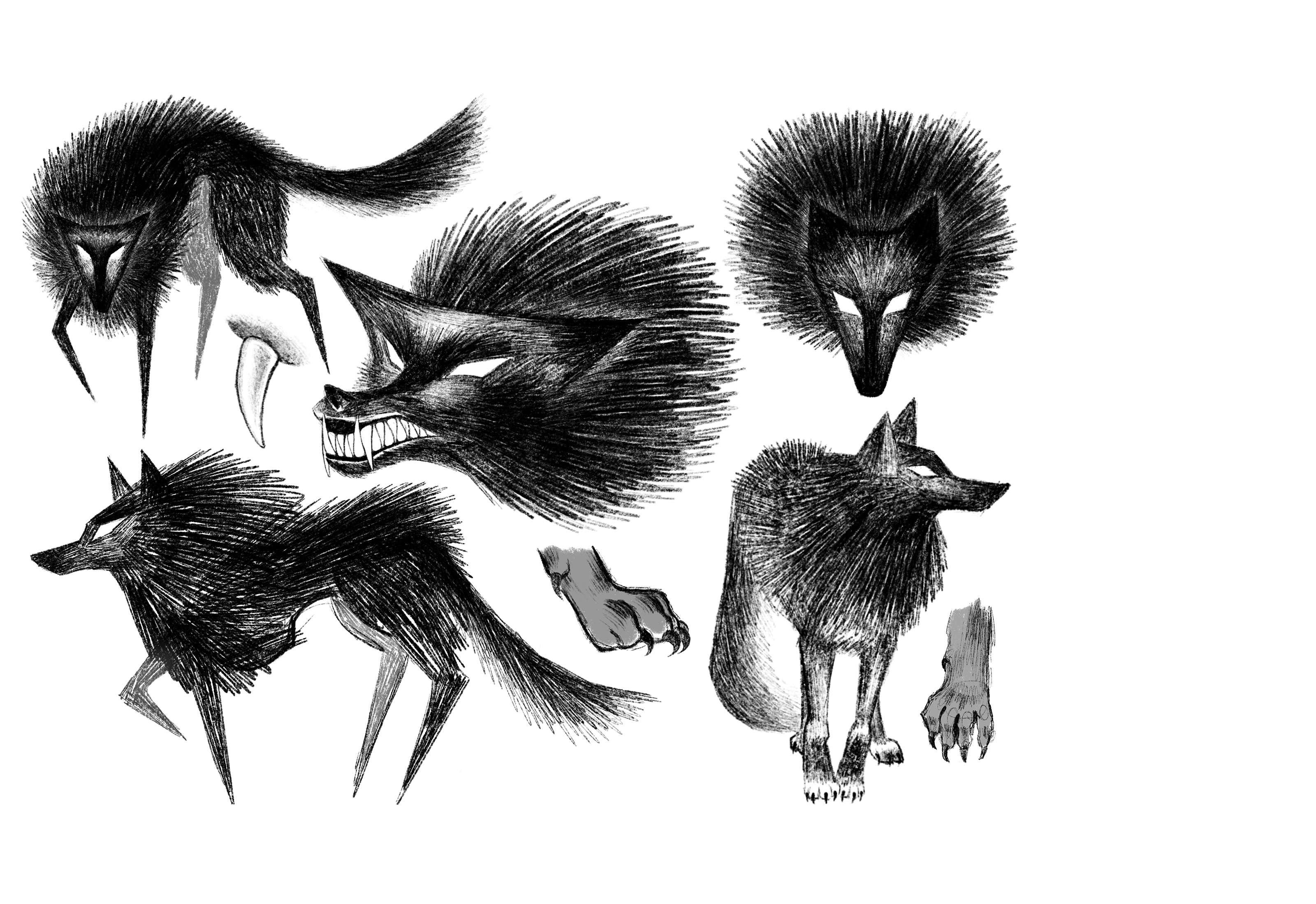 wolf