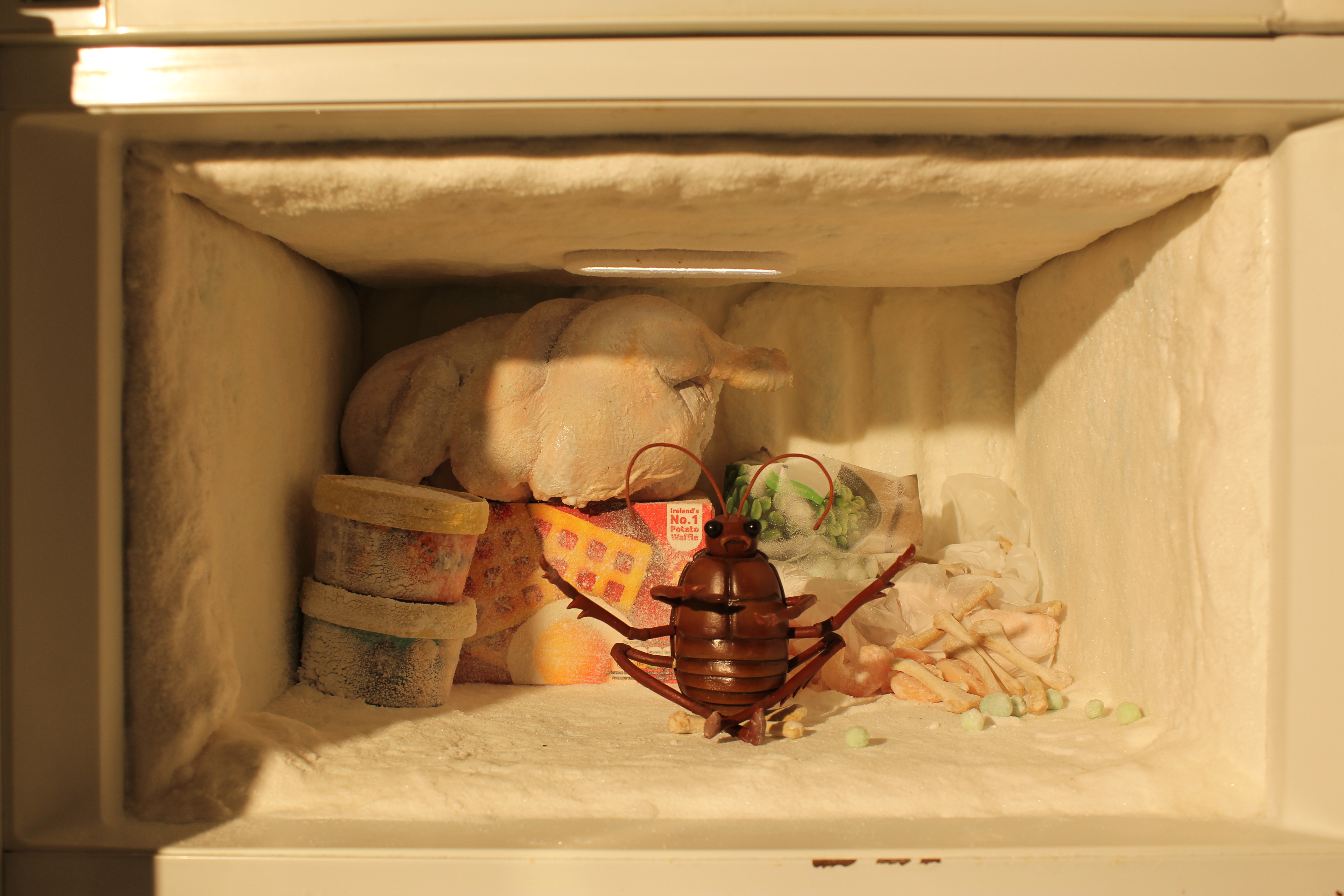 Cyril in his freezer