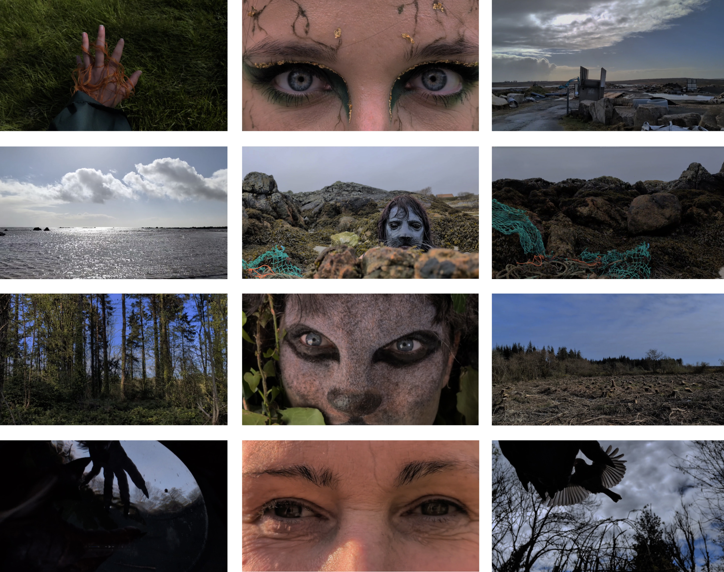 12 Key Frames