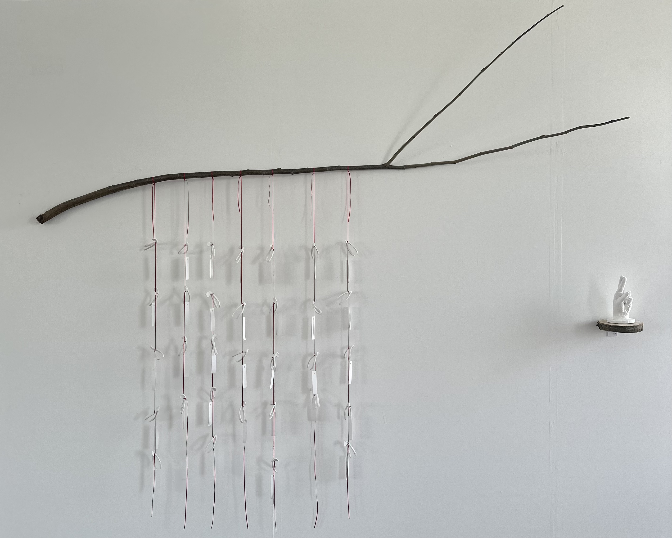 **Hung Together**, 2026, 32 ceramic wishbones, red ribbon, nylon thread, Fabriano paper and found branch, 255cm x 153cm approx.
