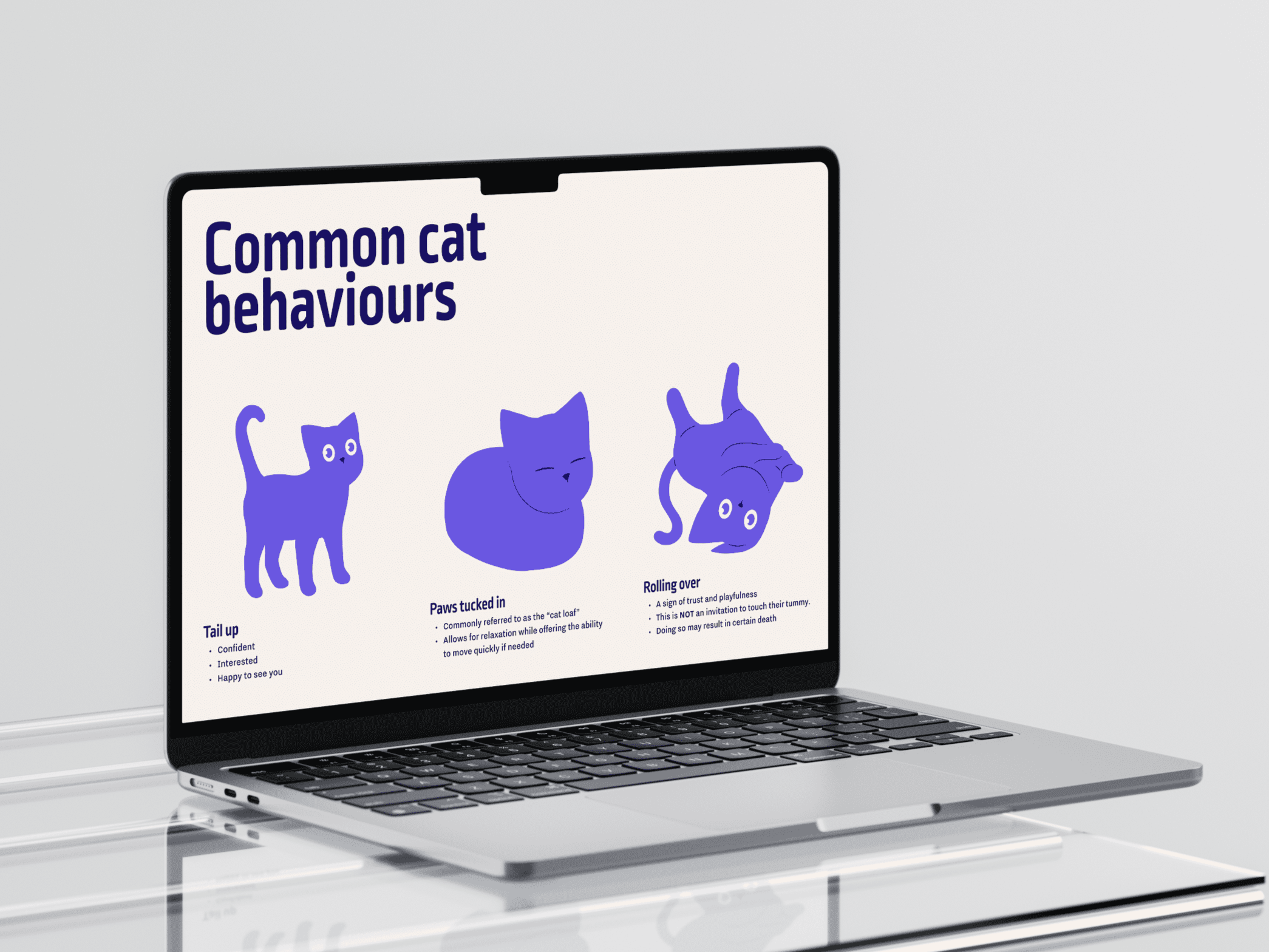 Desktop with happy cats