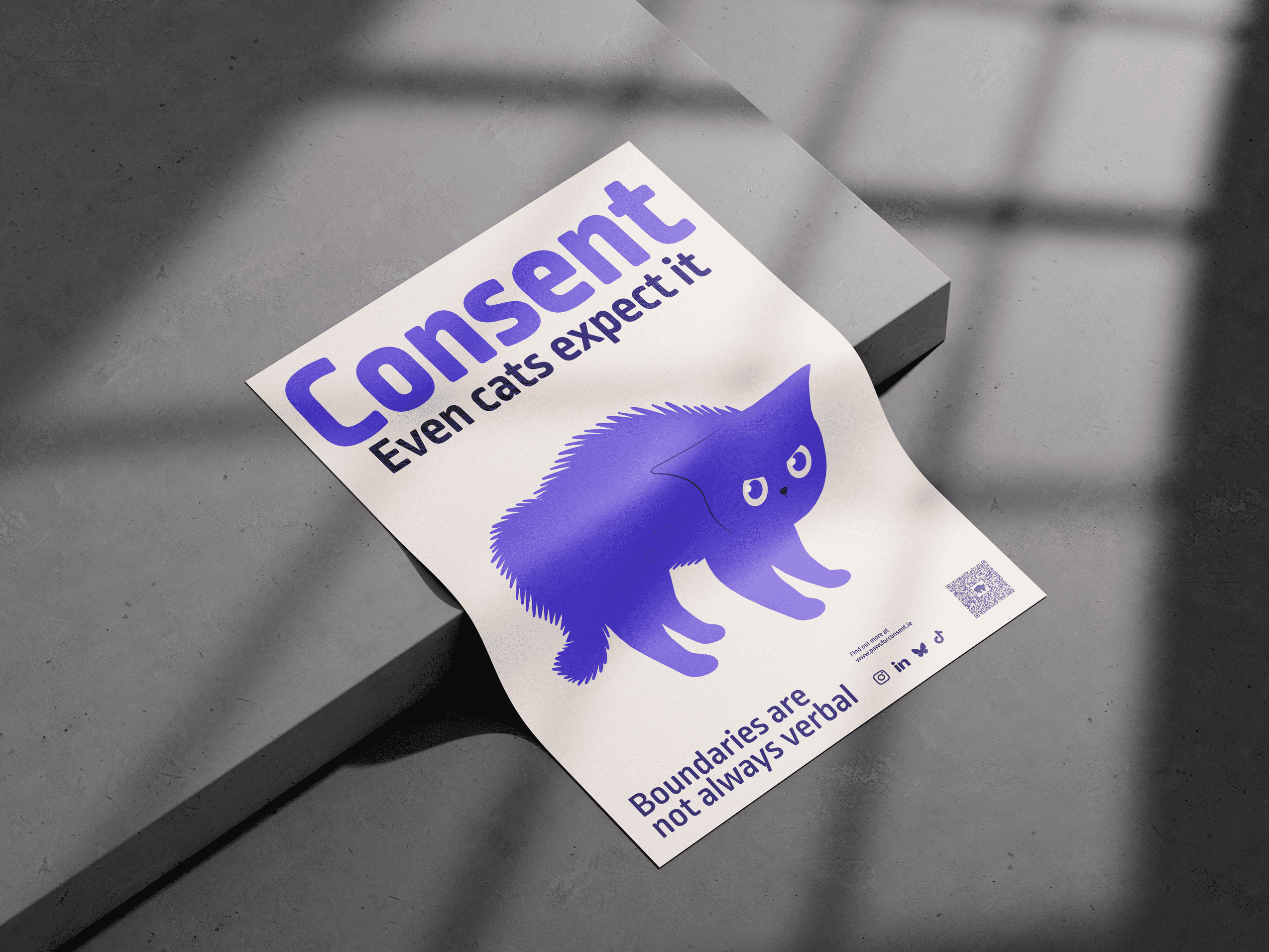 Consent - even cats expect it