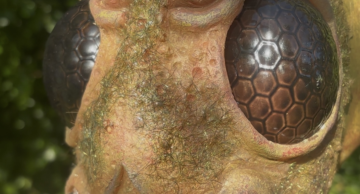 The Fly