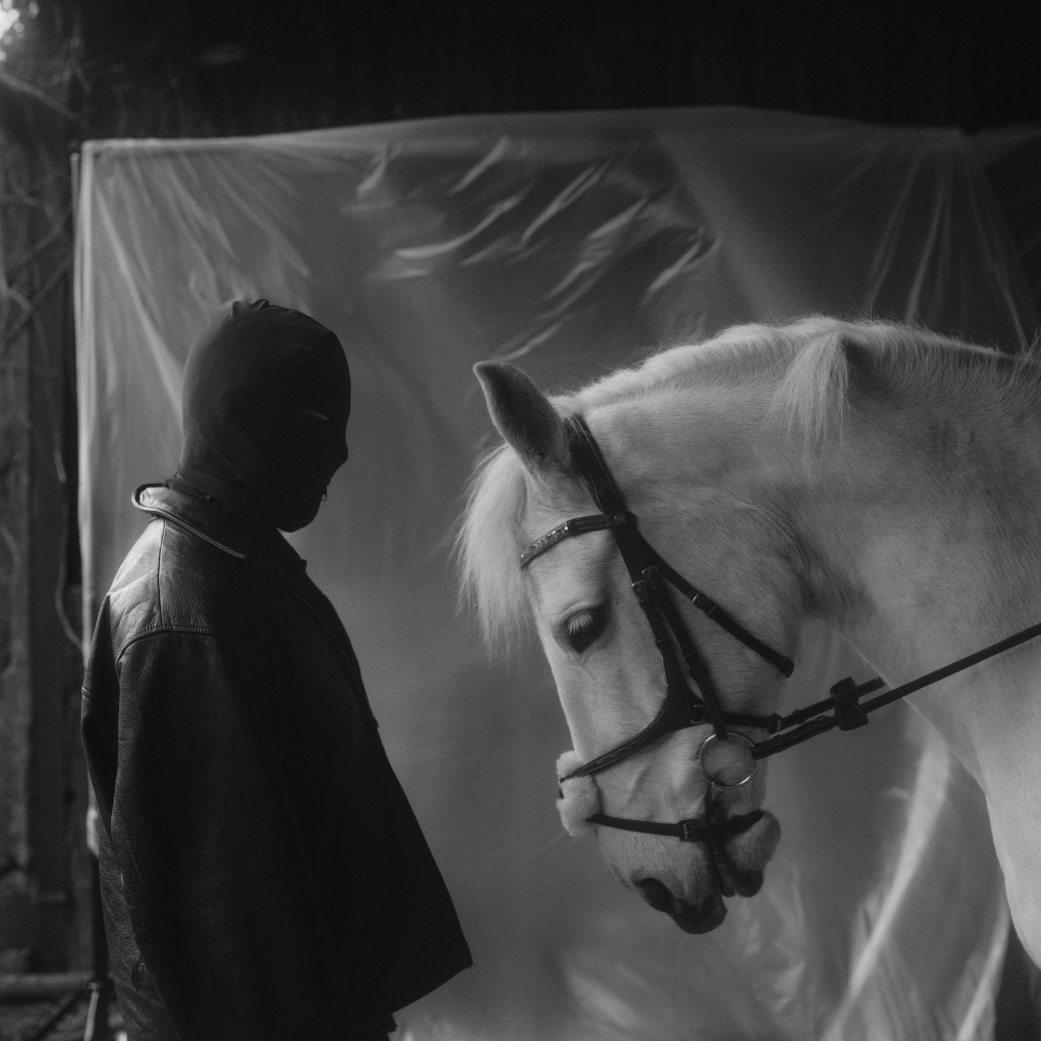 This black and white medium format photograph features a masked submissive and the head and neck a white horse. They face each other, standing side-on from the camera in front of a plastic dustsheet backdrop inside an old barn. The light floods in from the left, via gaps in the roofing out of shot.