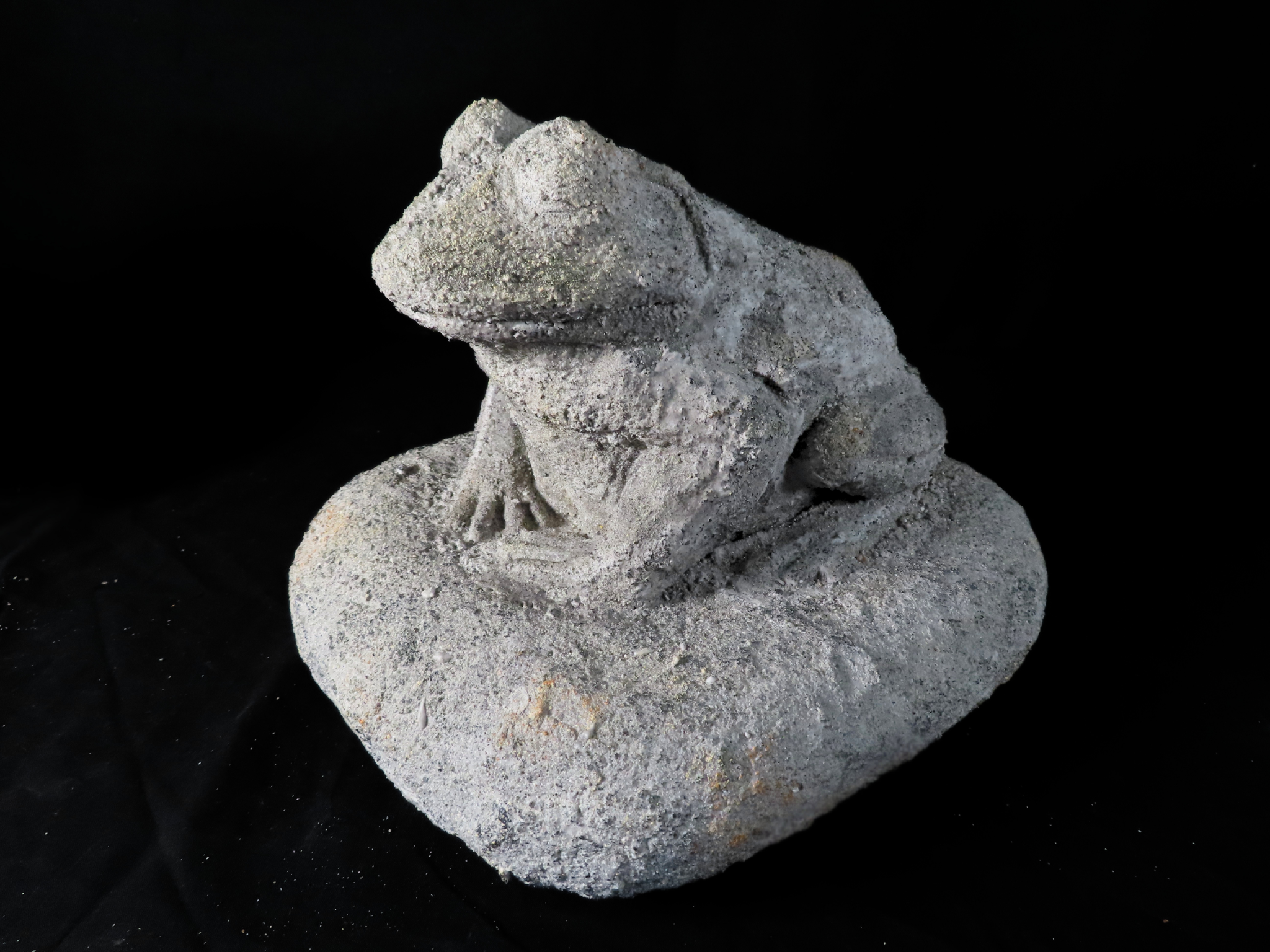 The Stone Frog