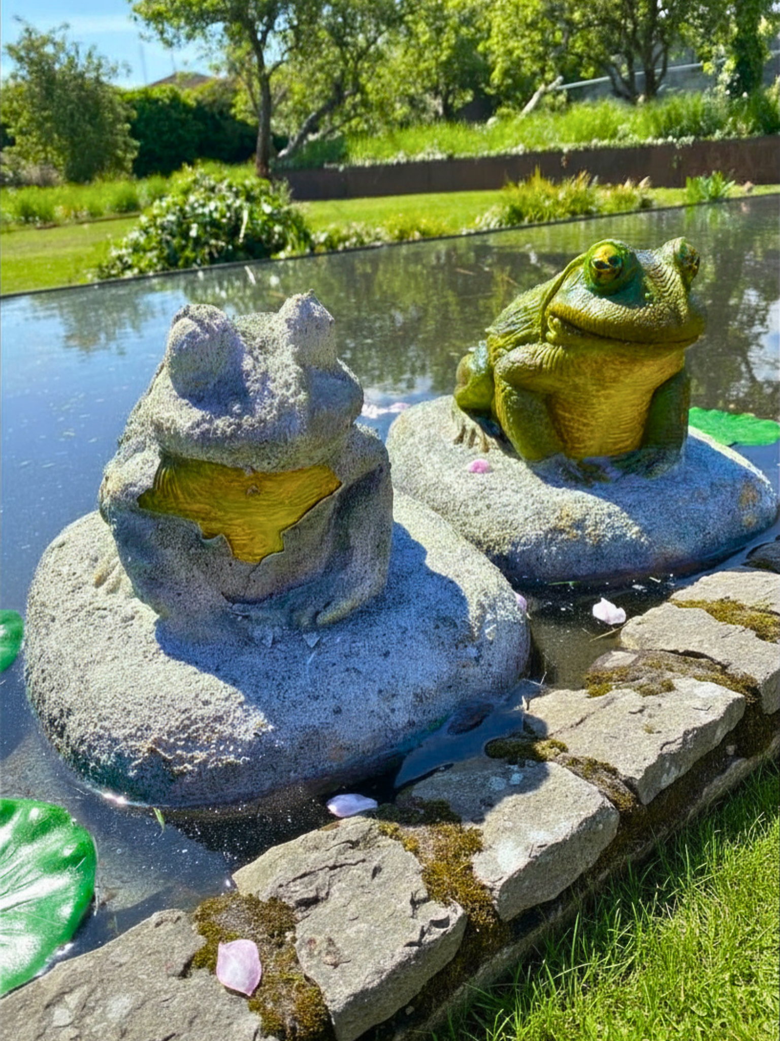 Frogs in the Pond