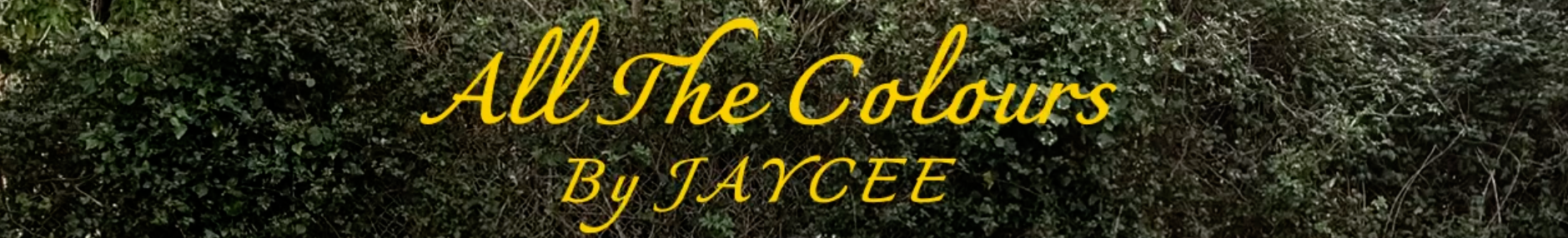 All The Colours Music Video Title