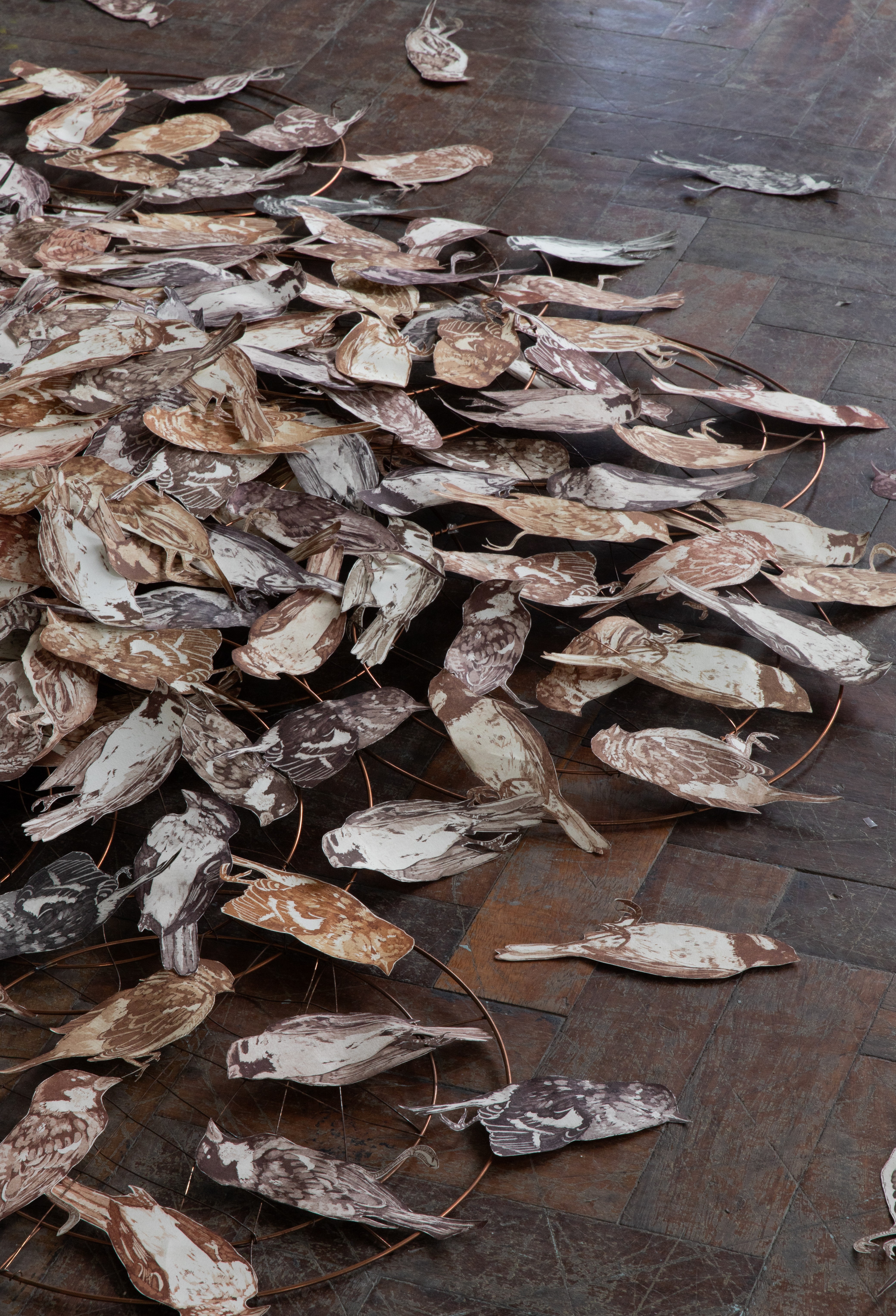 Birds on the floor!