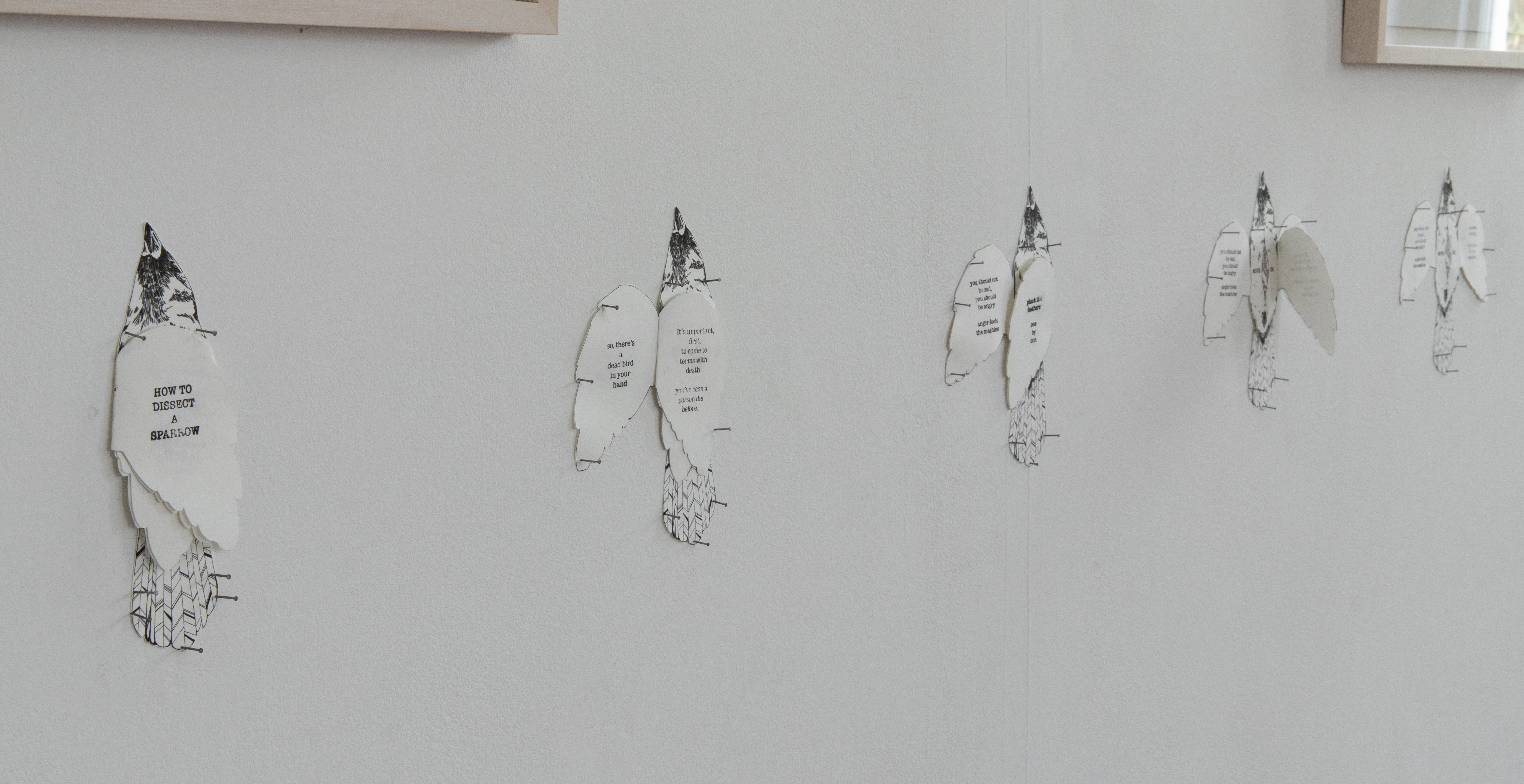 Birds on a wall