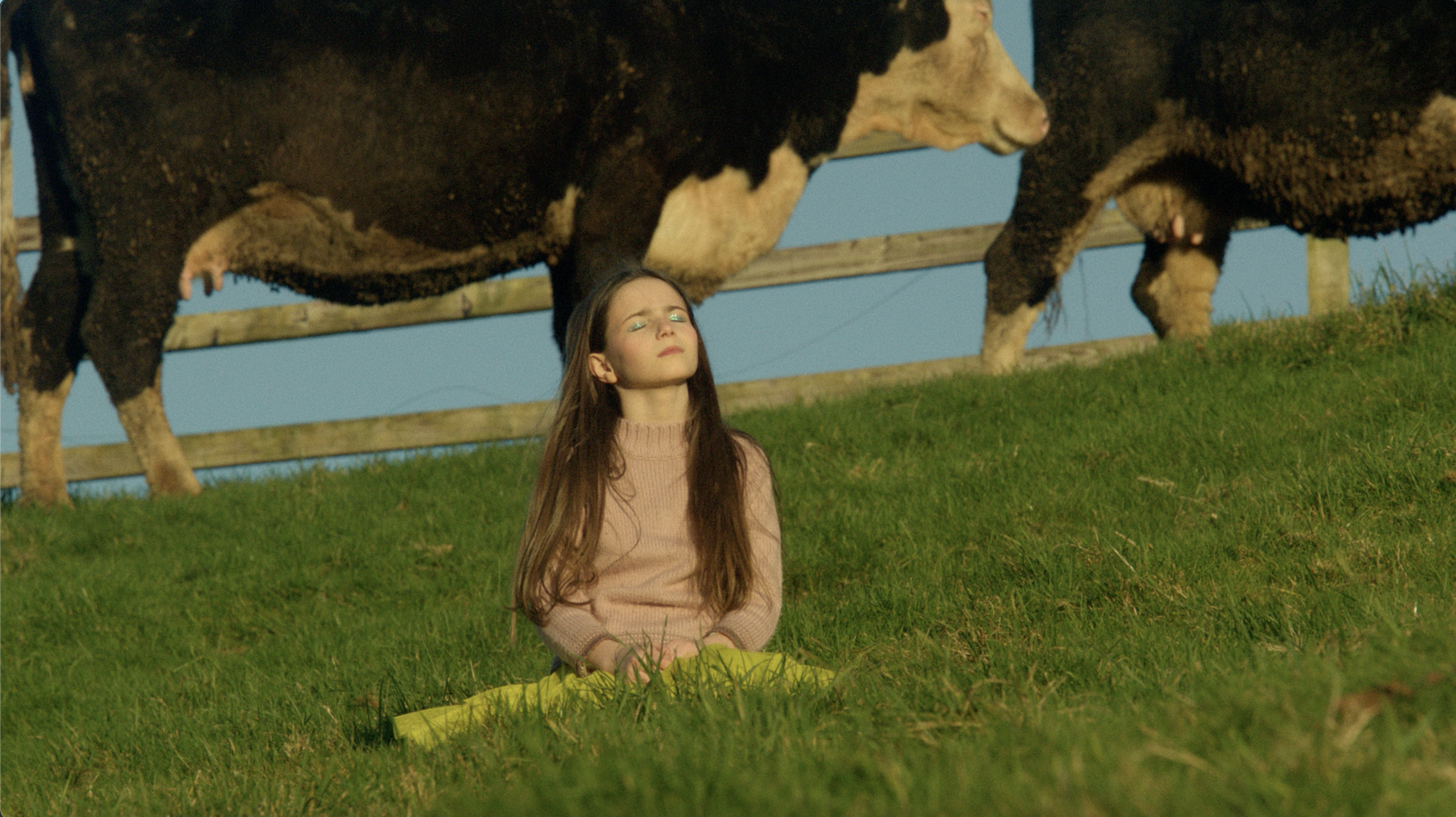 Still - The Lacey Way - Jude and the cows