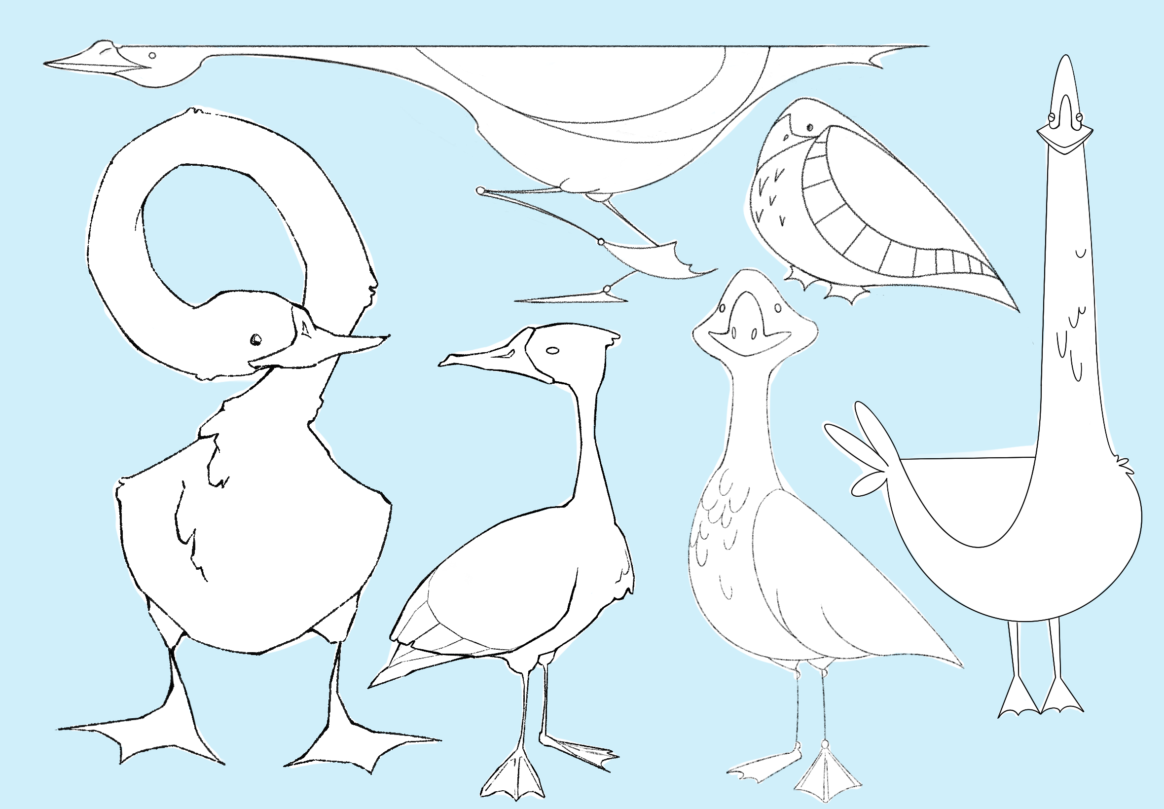 Ducks character design
