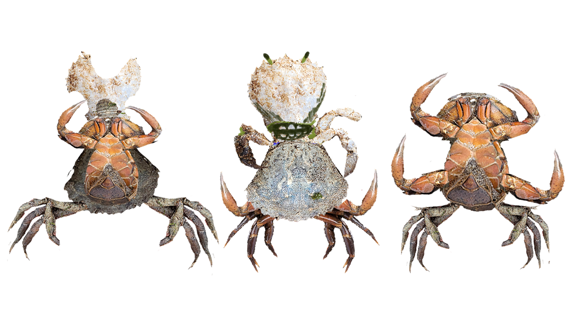 Photobashed crab characters.