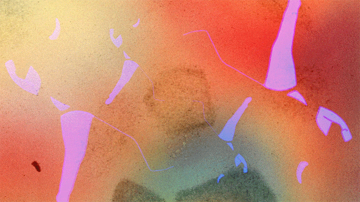 Experimental animation sequence section.