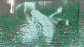 Generated Terrain and band performing