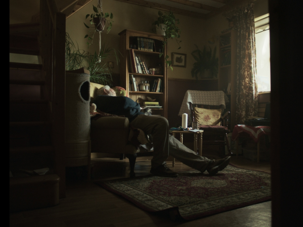 Hobnobs Still 3