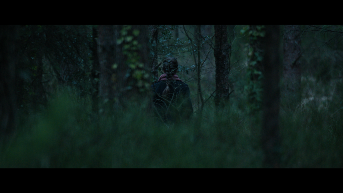 Fiadh in the forest