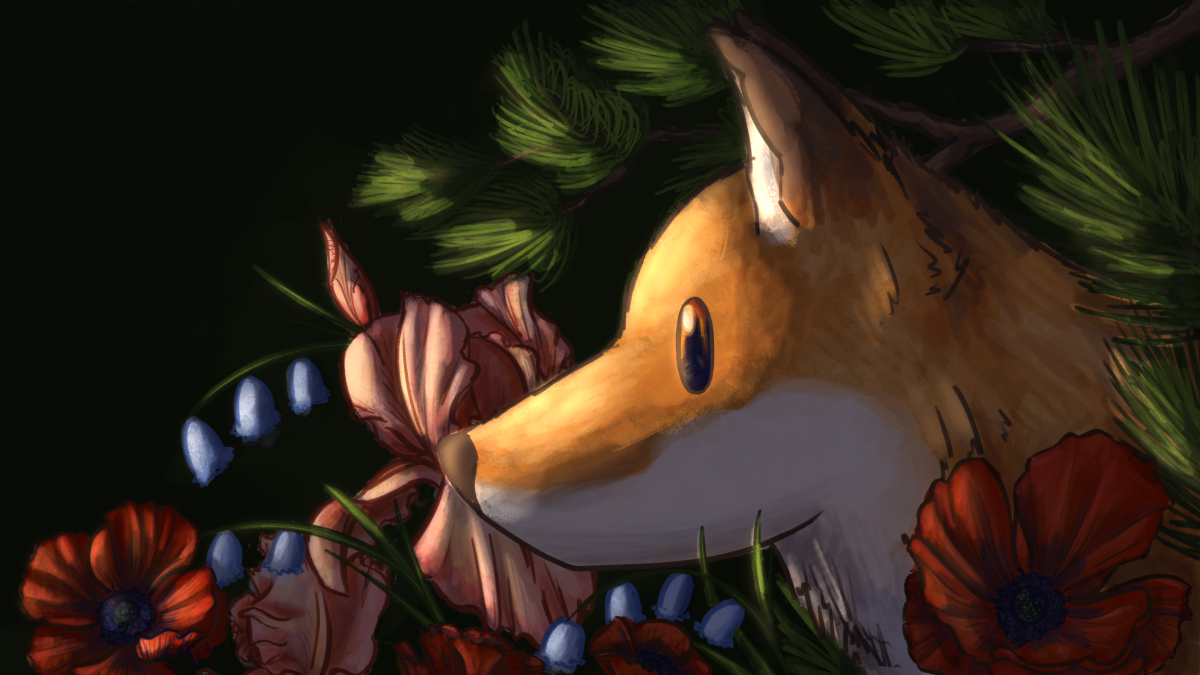 Fox in light