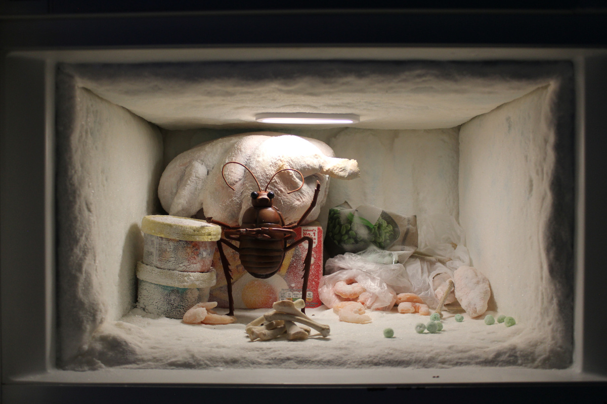 Cyril in his freezer