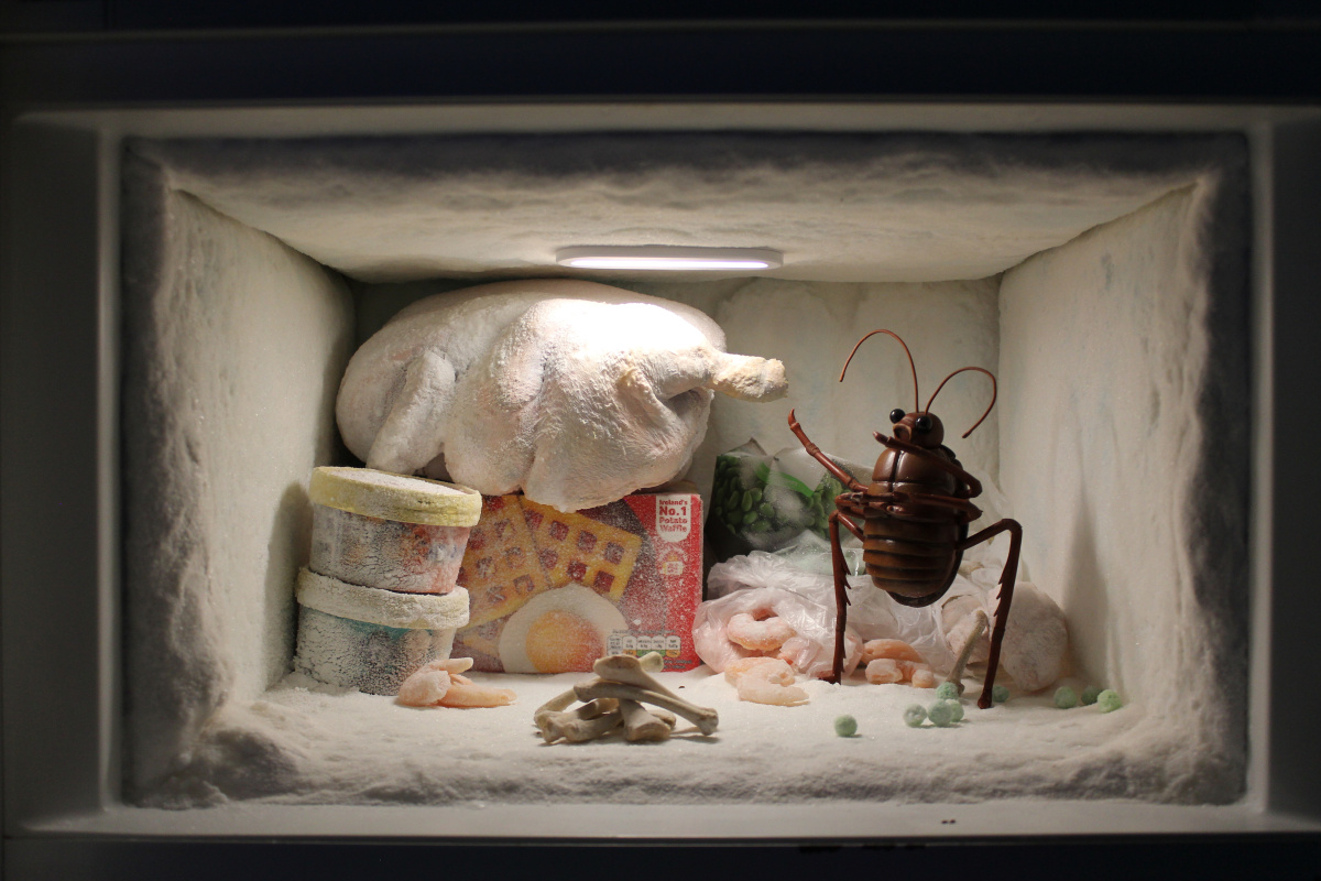 Cyril in his freezer