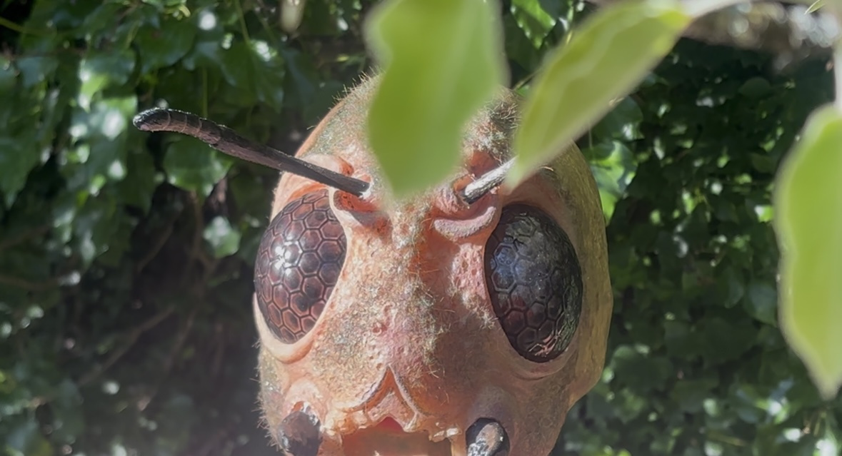 The Fly