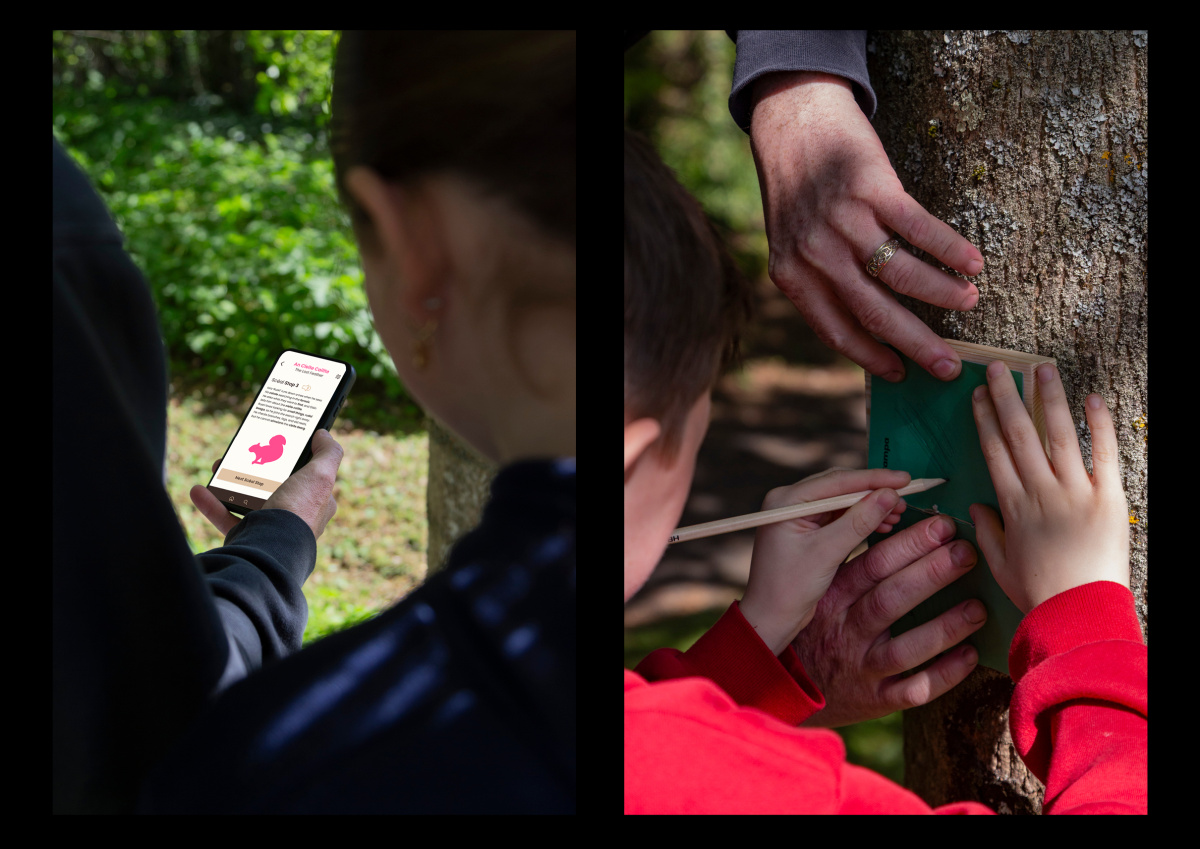 User interactions with Scéal Trail