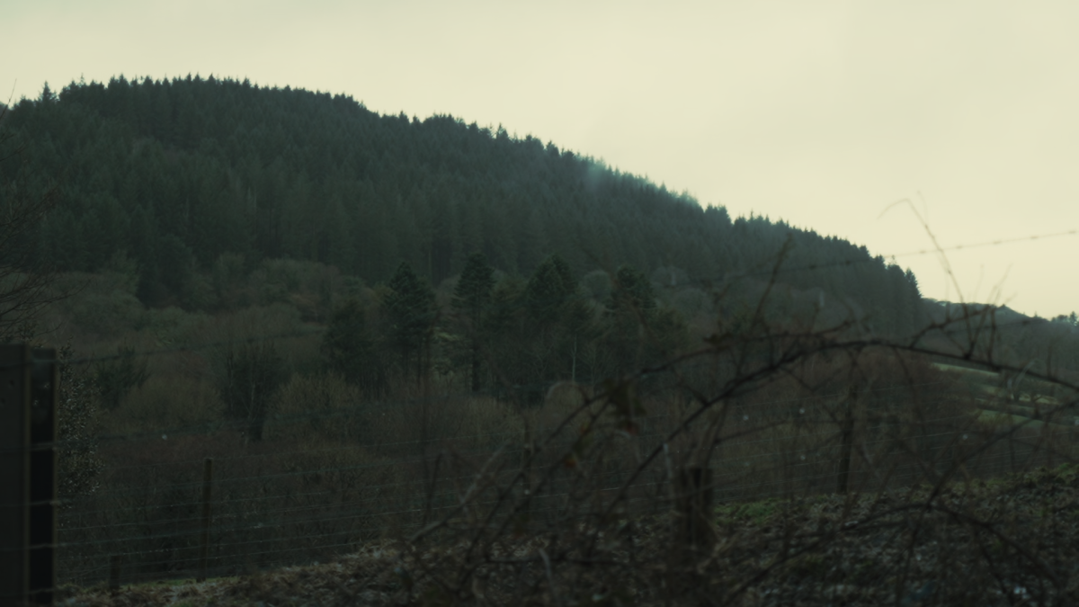 Still from Jannah