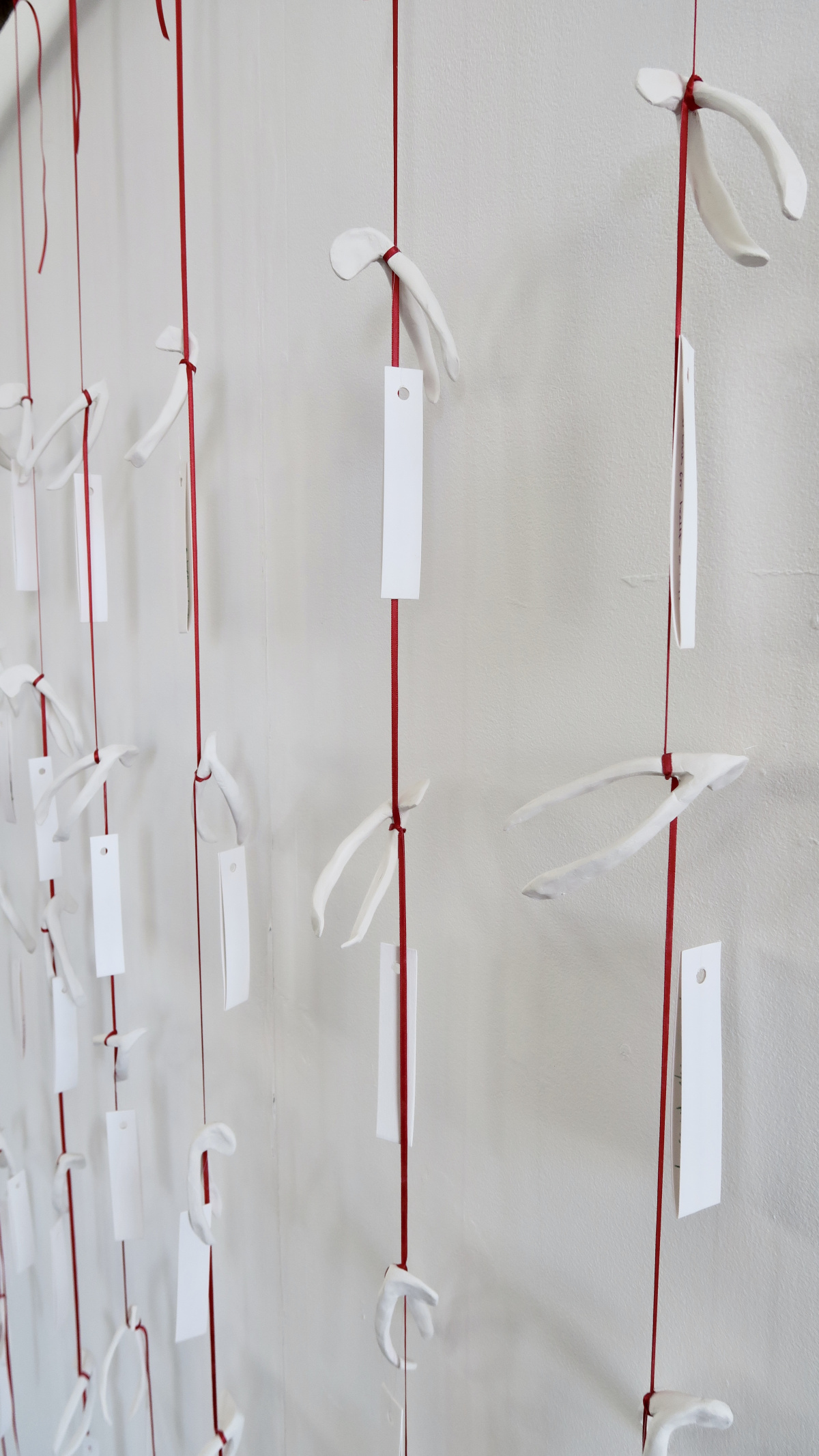**Hung Together**, 2026, 32 ceramic wishbones, red ribbon, nylon thread, Fabriano paper and found branch, 255cm x 153cm approx.