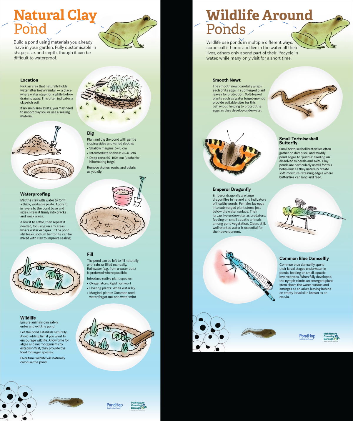 Two PondHop information displays showing the steps of how to add a Natural Clay pond to your garden and a range of wildlife that ponds can support