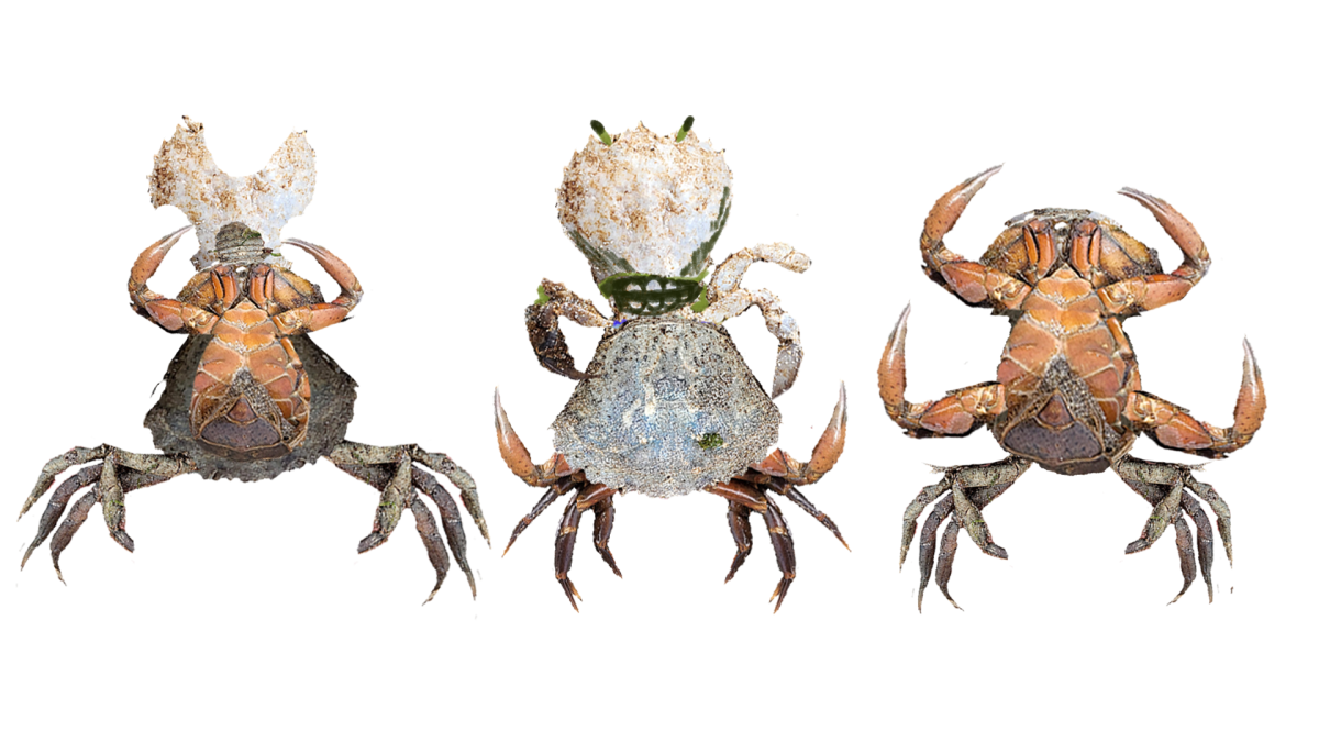 Photobashed crab characters.
