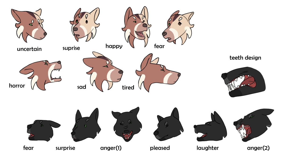 Expression studies for Skoll and New Moon