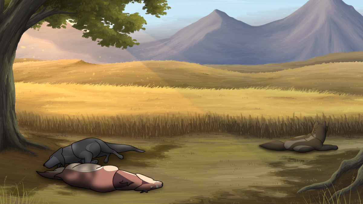 Still from Northpawed