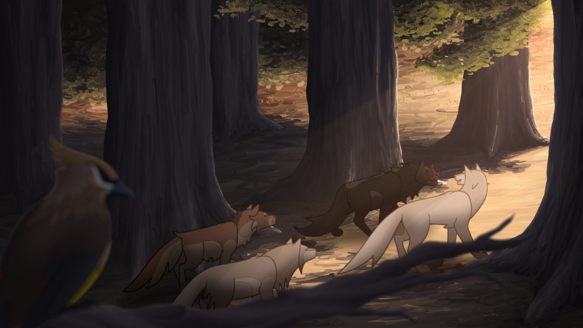 Still from Northpawed