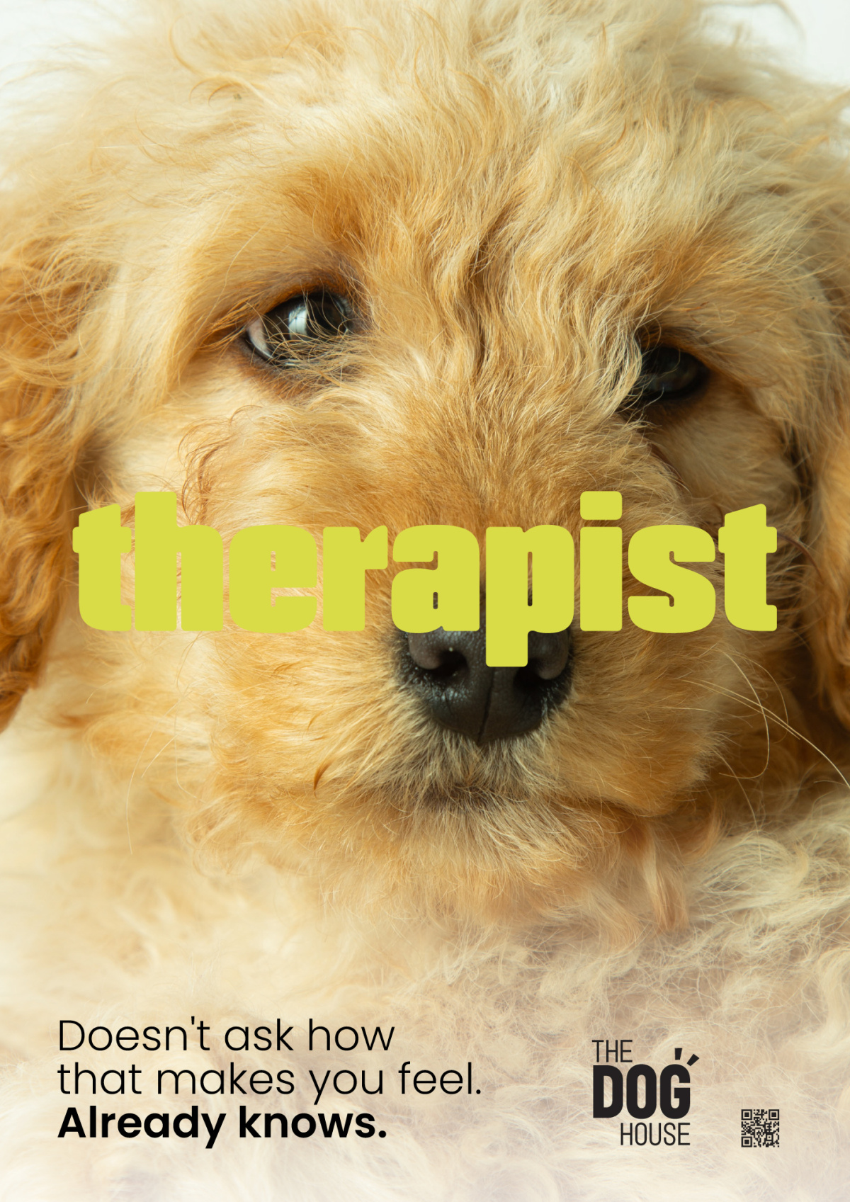 Public campaign from The Dog House highlighting the emotional support and benefits dogs bring to everyday life.