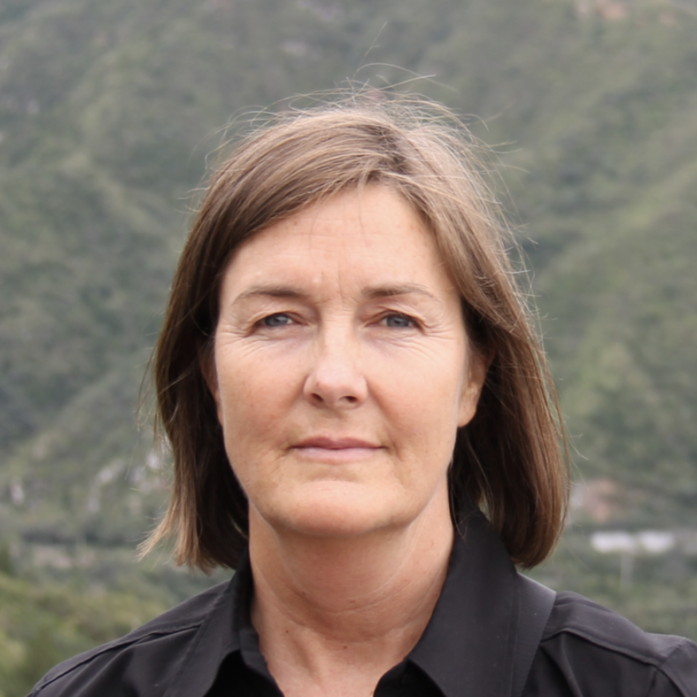 Artist picture